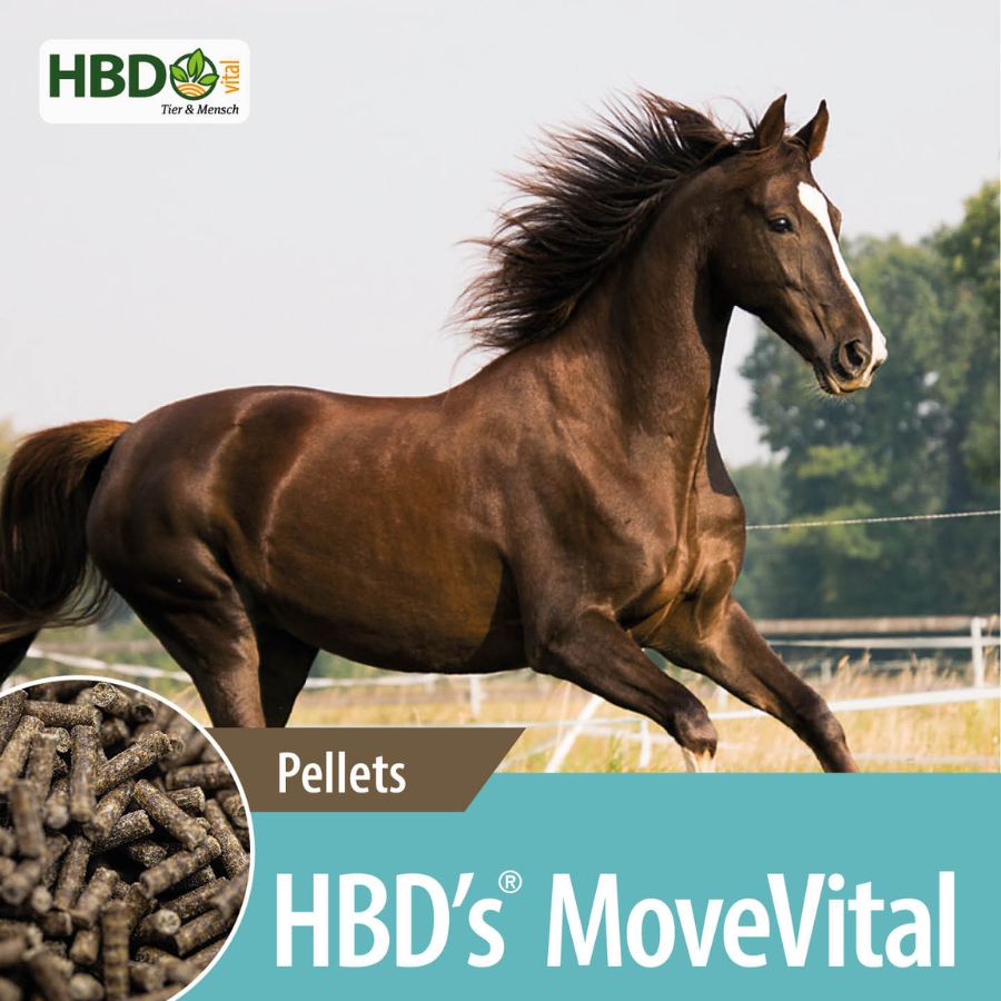 HBD’s® MoveVital für Pferde Shopbild für HBD’s MoveVital für Pferde - Das Bild zeigt den Produktnamen sowie den Hinweis, dass es sich um Pellets handelt. Ein dunkelbraunes Pferd ist zu sehen.
