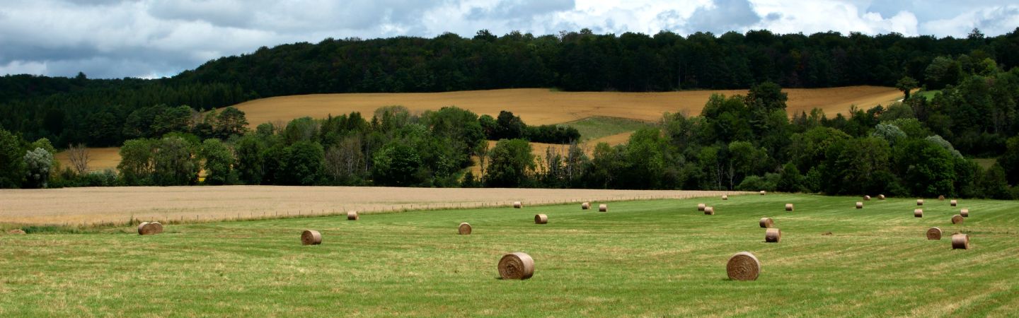 Pferdeweide mit Heuballen und im Hintergrund Berge mit Bäumen und landwirtschaftlichen Flächen.