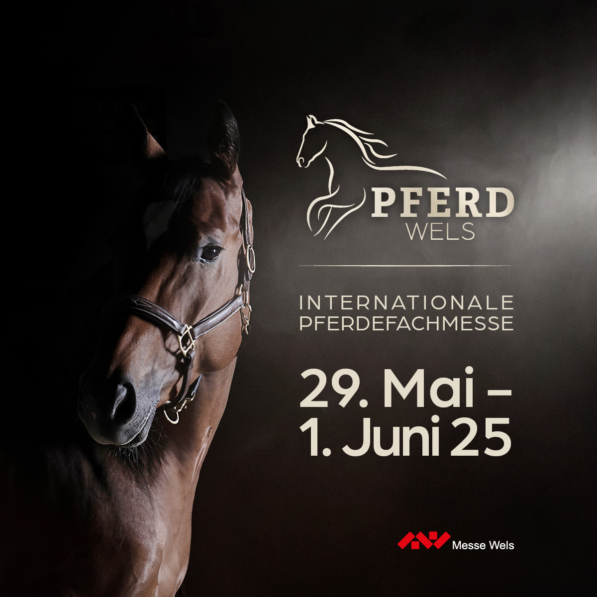 HBD ist auf der Pferd Wels Banner für die Pferd Wels, die vom 29. Mai bis zum 01. Juni geht.