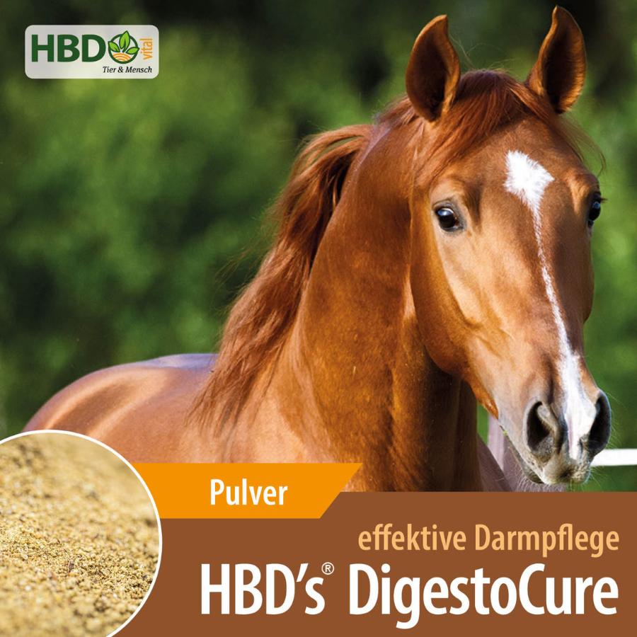 HBD’s® DigestoCure - Darmkur für Pferde zum Aufbau der Darmflora Shopbild für HBD's DigestoCure der Darmkur zum Aufbau der Darmflora von Pferden mit Präbiotika - Das Bild zeigt den Produktnamen wie den Hinweis, dass es sich um ein Pulver handelt. Der Satz 'Effektive Darmpflege' ist zu sehen. Zusätzlich ist ein hellbrau