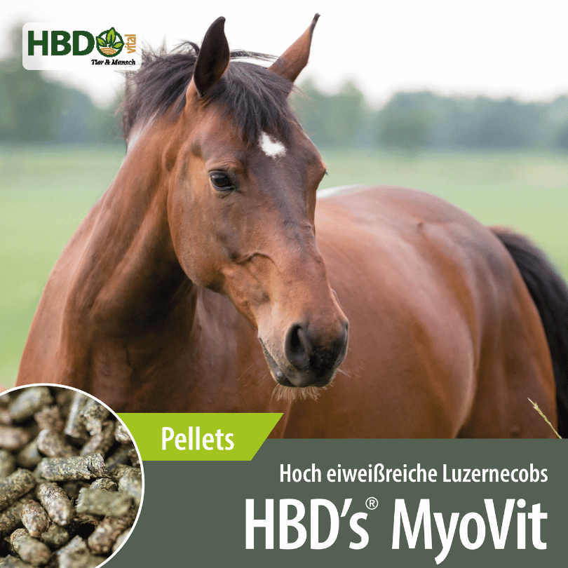 HBD’s® MyoVit