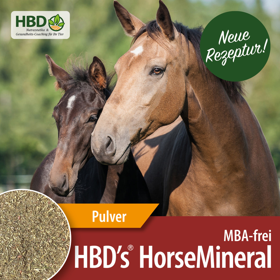 HBD’s® HorseMineral MBA-frei (melasse-, bierhefe- und apfeltresterfrei) Pulver