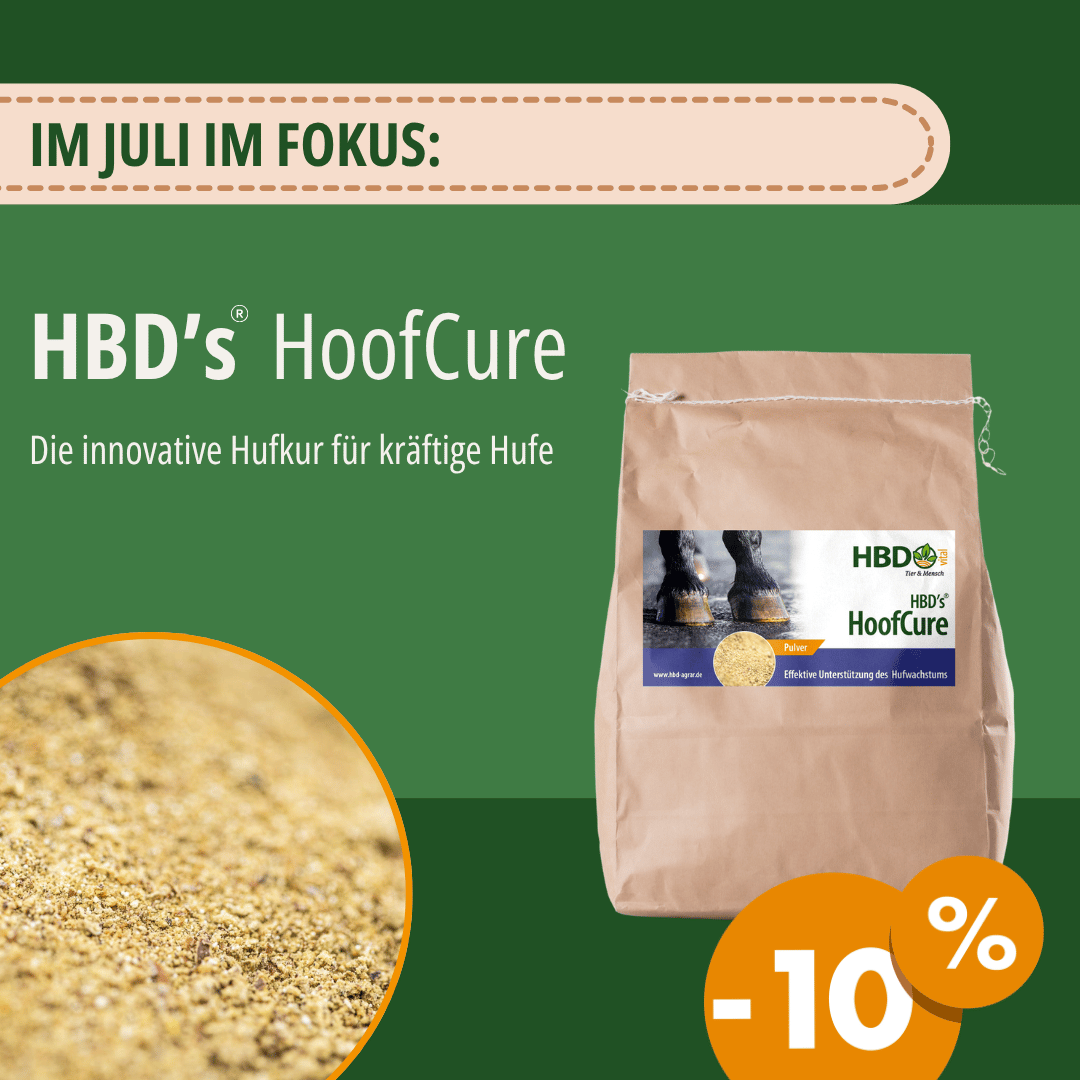 Aktionsbanner für HoofCure. Die Hufkur für Pferde