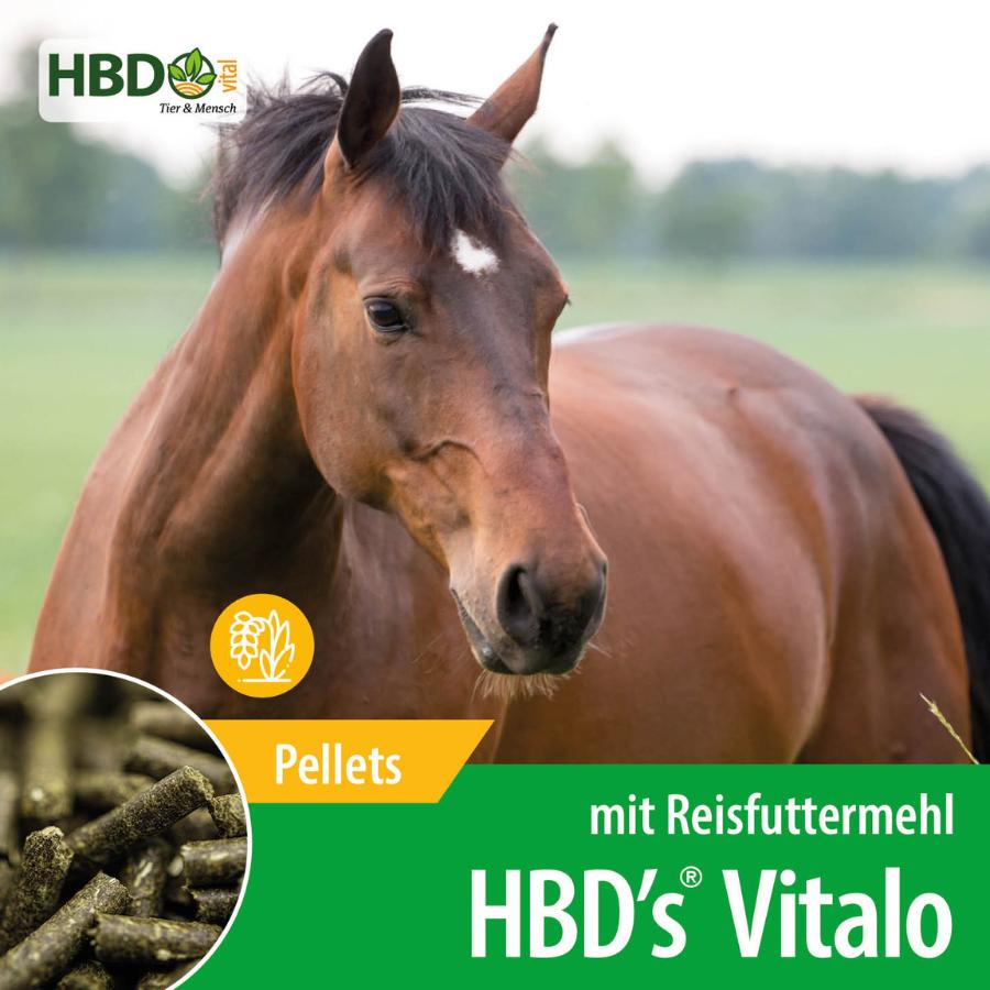 HBD’s® Vitalo mit Reisfuttermehl - Kraftfutter für Pferde Shopbild für HBD’s Vitalo mit Reisfuttermehl - Das Bild zeigt den Produktnamen sowie den Hinweis, dass es sich um Pellets handelt. Ein braunes Pferd ist zu sehen.