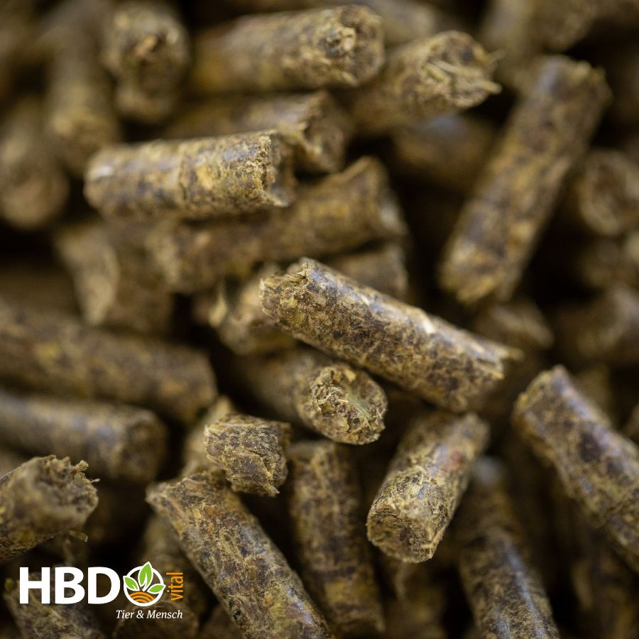 Eine Nahaufnahme von kleinen, grün-bräunlichen, zylindrischen Pellets. Die Oberfläche der Pellets wirkt körnig und unregelmäßig. Es ist die Futterstruktur von HBDs ActiveVital.