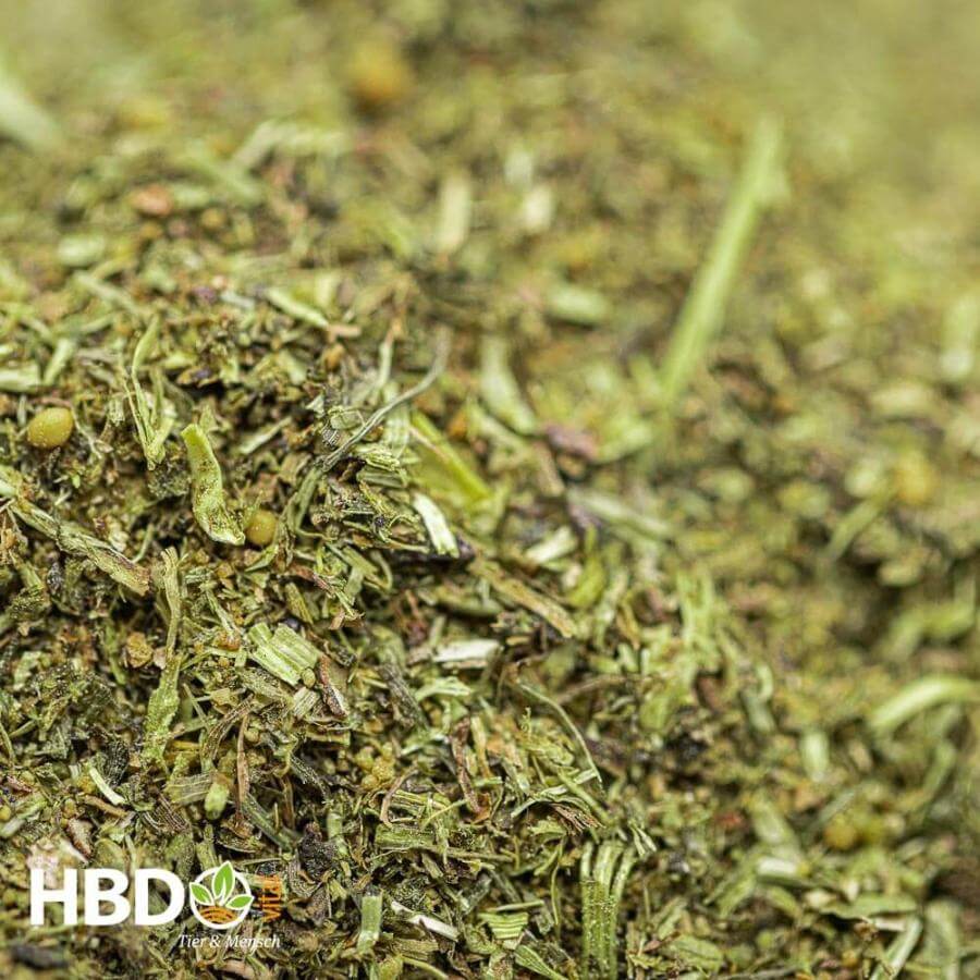 HBD’s® DigestoPhlog zur Beruhigung der Magenschleimhäute und Darmschleimhäute von Pferden Futterstruktur Foto der Futterstruktur von HBD's DigestoPlog für Pferde zur Beruhigung der Magenschleimhäute und Darmschleimhäute - Eine Nahaufnahme der Futterergänzung zeigt ein grünbraunes Pulver mit deutlicher Struktur und Fasern.