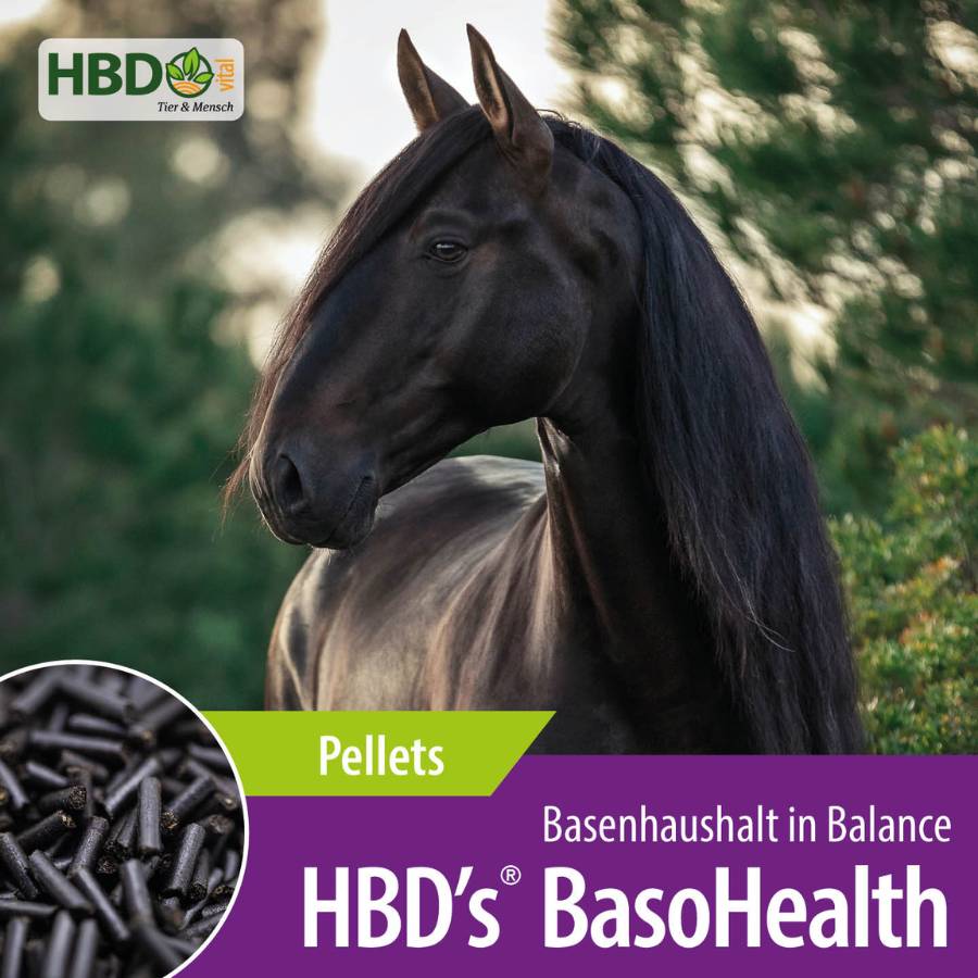 HBD’s® BasoHealt - das Stoffwechselregulat für Pferde Shopbild Shopbild für HBD’s BasoHealth dem Stoffwechselregulat für Pferde:  Das Bild zeigt den Produktnamen, den Hinweis auf die Pelletform des Futters sowie den Satz 'Basenhaushalt in Balance'. Ein schwarzes Pferd ist ebenfalls zu sehen.