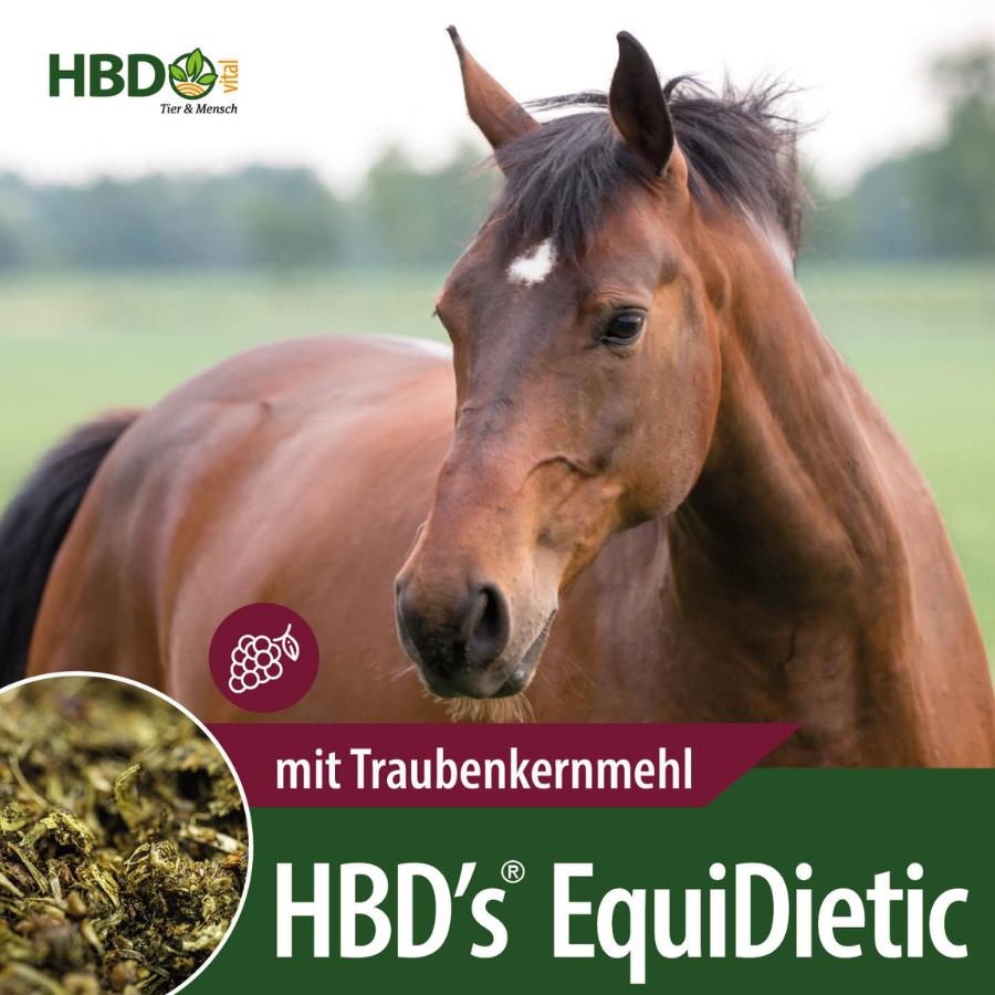 HBD’s® EquiDietic mit Traubenkernmehl für Pferde Shopbild für HBD’s EquiDietic mit Traubenkernmehl das diätistische Breifutter für Pferde- Das Bild zeigt den Produktnamen mit dem Hinweis, dass es mit Traubenkernmehl ist. Ein braunes Pferd ist zu sehen.