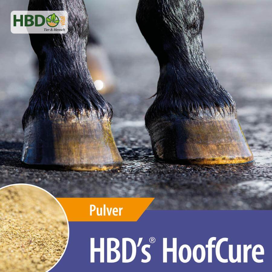 HBD’s® HoofCure - die Hufkur für Pferde Shopbild für HBDs HoofCure der Hufkur für Pferde. Man sieht eine Nahaufnahme von 2 Pferdehufen, den Namen des Produkts und ein Bild von der Futterstruktur sowie den Hinweis, dass es sich um ein Pulver handelt.