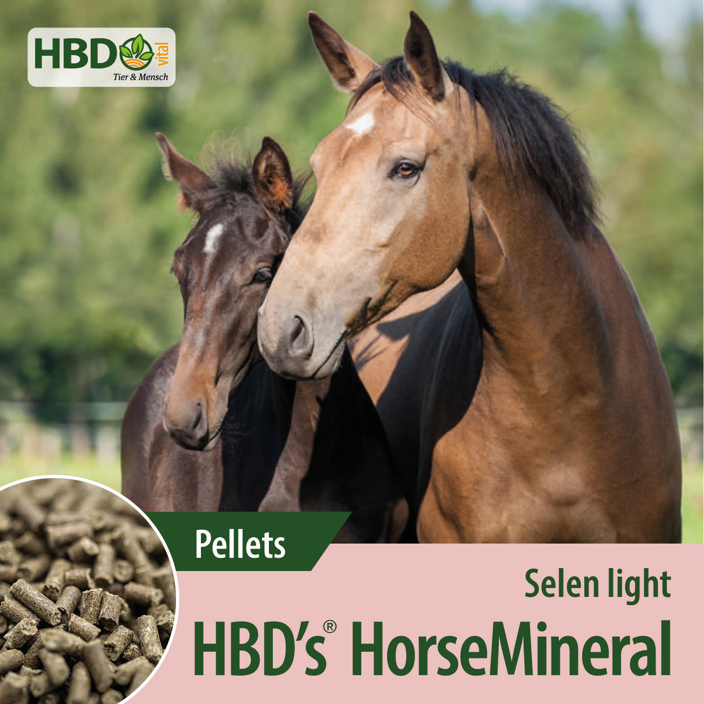 Shopbild für HBD’s HorseMineral Selen light Pellets - Das Bild zeigt den Produktnamen sowie den Hinweis, dass es sich um ein Produkt mit weniger Selen handelt. Zwei Pferde sind zu sehen, eines hellbraun, das andere dunkelbraun.