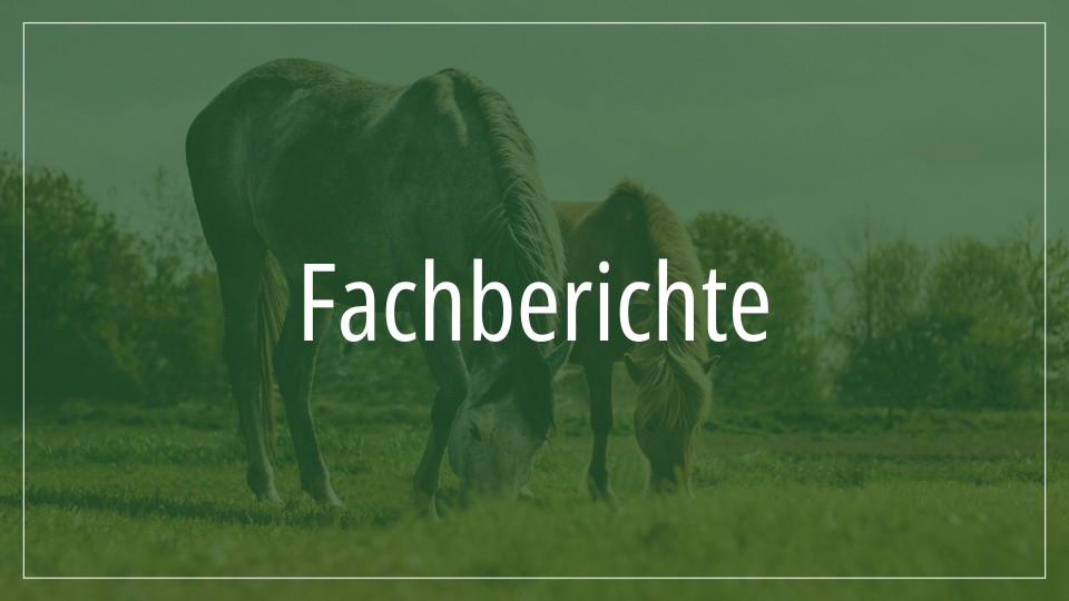 Fachberichte zu Gesundheit und Pflege von Pferden und Hunden Zwei Pferde grasen auf einer Wiese, mit dem Text "Fachberichte" darüber.