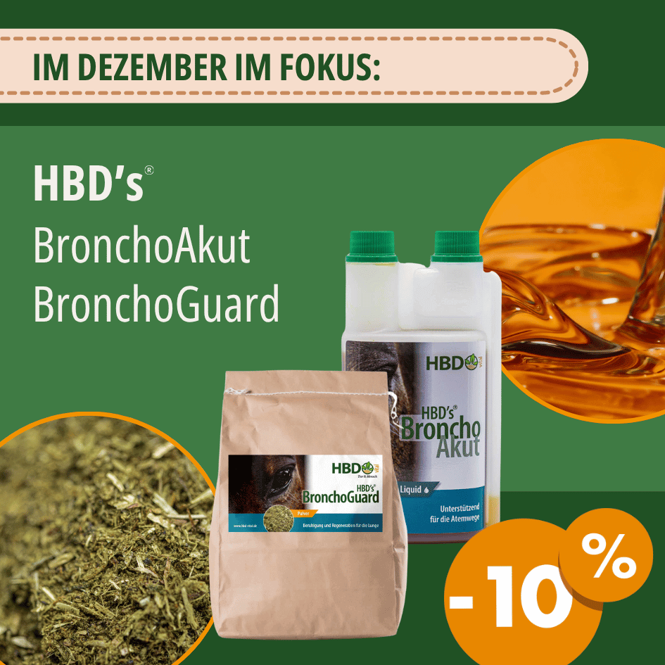 Beide Broncho Produkte für Pferde sind abgebildet mit der Futterstruktur. BronchoAkut Liquid und BronchoGuard Pulver. Es wird auf 10 % Rabatt im Dezember hingewiesen.