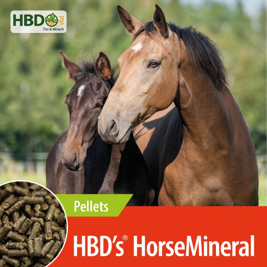 HBD’s® HorseMineral Pellets - Mineralfutter für Pferde Shopbild für HBD’s HorseMineral Pellets  zeigt den Produktnamen HBD’s HorseMineral Pellets, dem ogranisch gebundenen Mineralfutter für Pferde. Zwei Pferde sind zu sehen, eines hellbraun, das andere dunkelbraun.