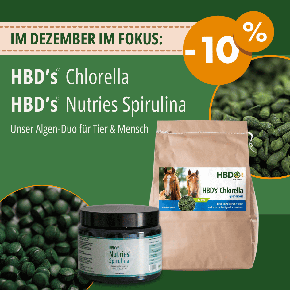 Werbebanner für das Oktober Angebot mit 10 % Rabatt. HBDs Chlorella für Pferde und HBDs Nutries Spirulina für Menschen.