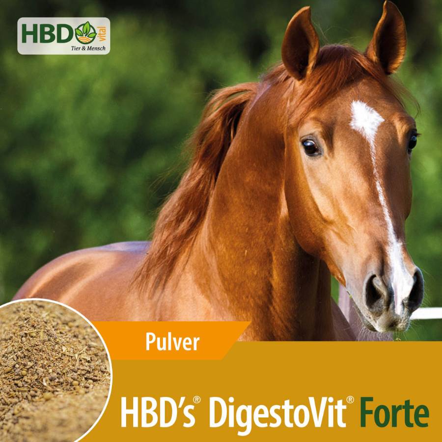HBD’s® DigestoVit Forte für Pferde -  der Schadkeimbinder für den Darm HBDs DigestoVit Forte Shopbild mit einem Foto der Futterstruktur und dem Namen des Produkts. Außerdem ist ein braunes Pferd zu sehen.
