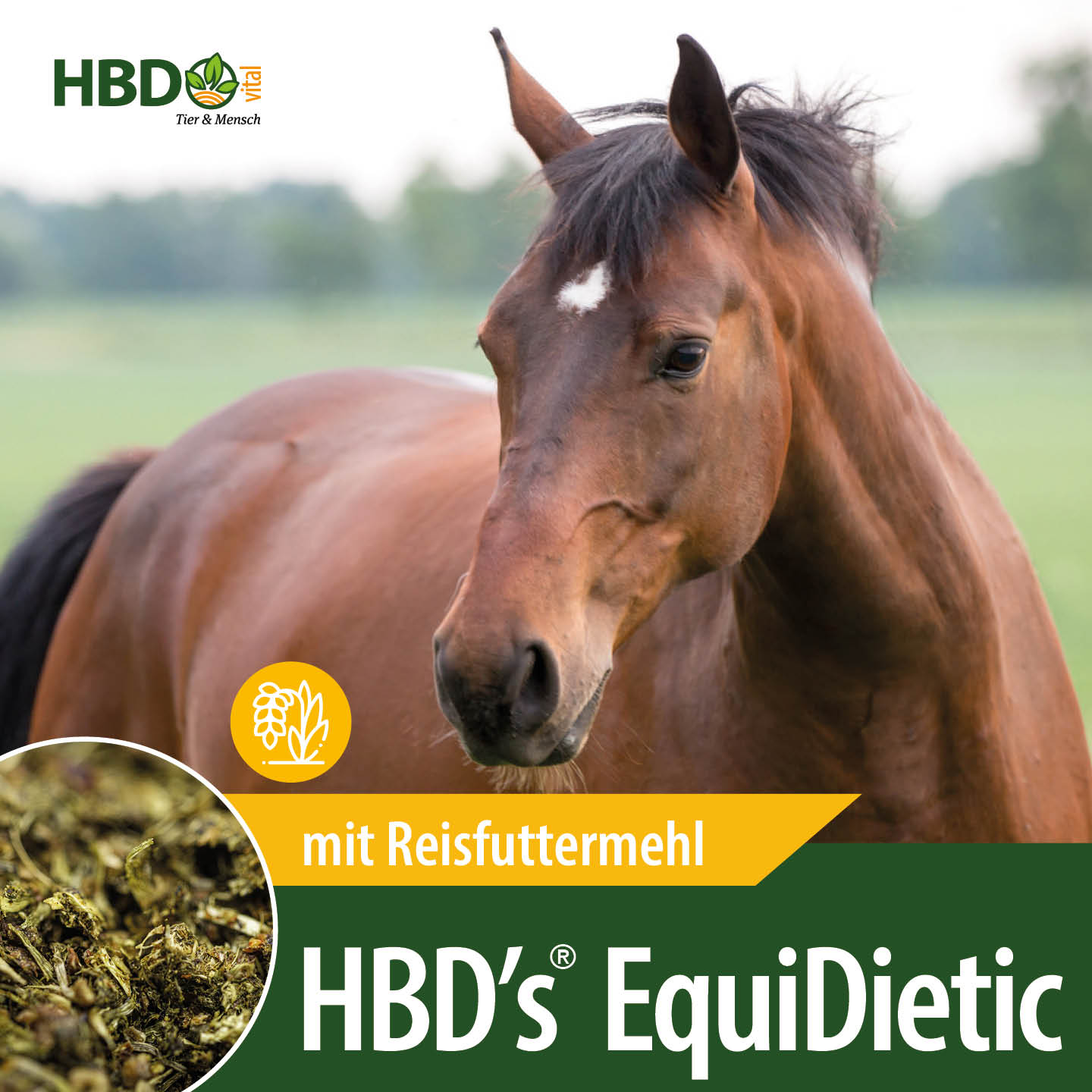 Shopbild für HBD’s EquiDietic mit Reis das diätistische Breifutter für Pferde- Das Bild zeigt den Produktnamen mit dem Hinweis, dass es mit Reisfuttermehl ist. Ein braunes Pferd ist zu sehen.