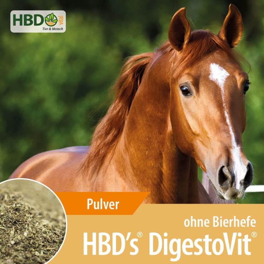 HBD’s® DigestoVit® ohne Bierhefe - Shopbild Shopbild für HBD's DigestoVit ohne Bierhefe Darmkur zur Darmsanierung für Pferde - Das Bild zeigt den Produktnamen sowie den Hinweis, dass es sich um ein Pulver handelt. Ein braunes Pferd ist zu sehen.