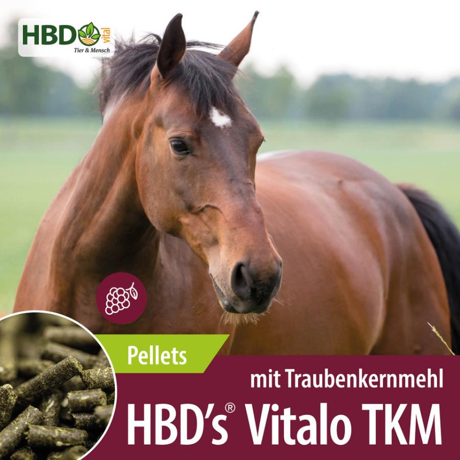 HBD’s® Vitalo mit Traubenkernmehl für Pferde Shopbild für HBD’s Vitalo mit Traubenkernmehl - Das Bild zeigt den Produktnamen sowie den Hinweis, dass es sich um Pellets handelt. Ein braunes Pferd ist zu sehen.