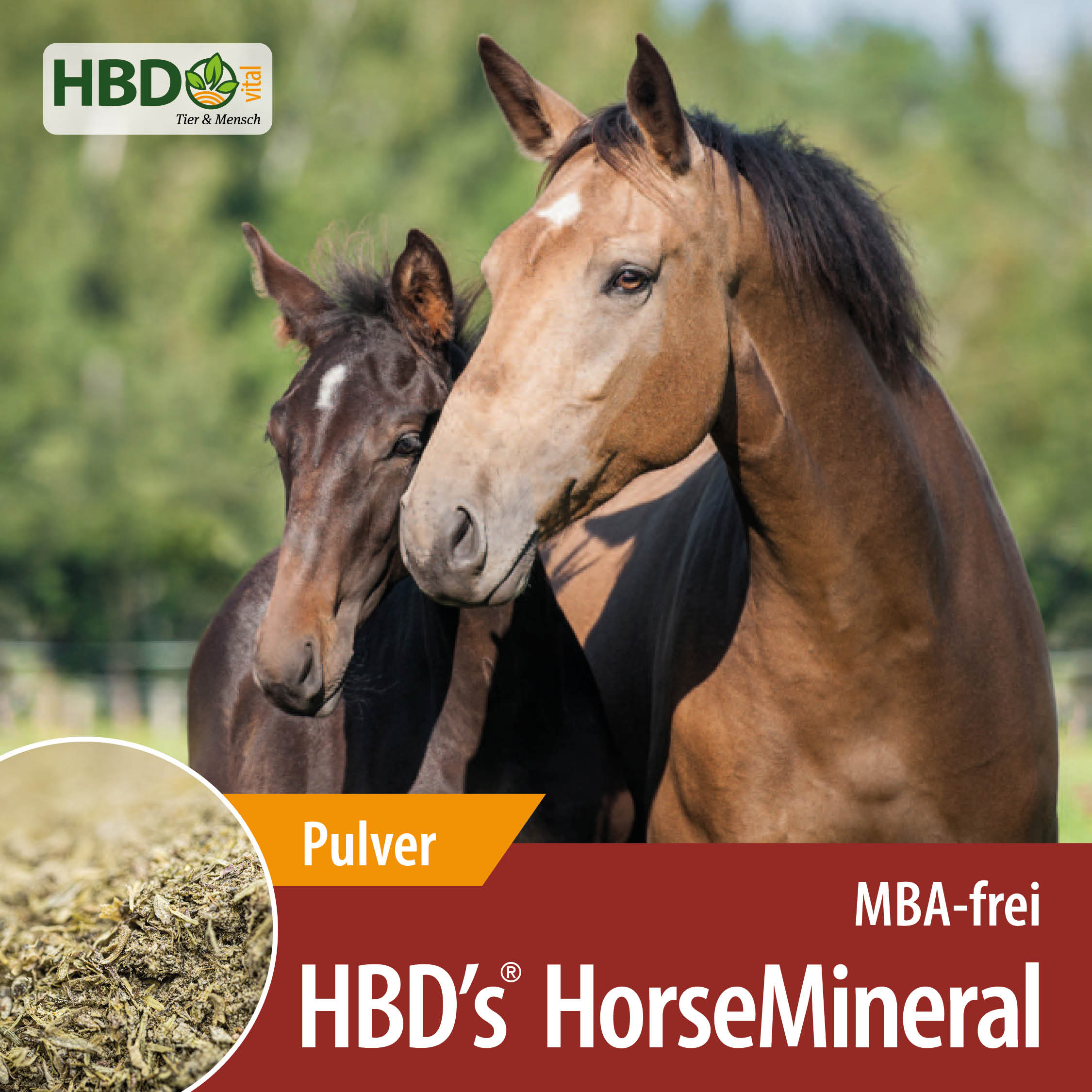Shopbild für HBD’s Horsemineral MBA-frei Pulver - Das Bild zeigt den Produktnamen sowie den Hinweis, dass es sich um Melasse-, Bierhefe- und Apfeltrester-freies Pulver handelt. Zwei Pferde sind zu sehen, eines hellbraun,