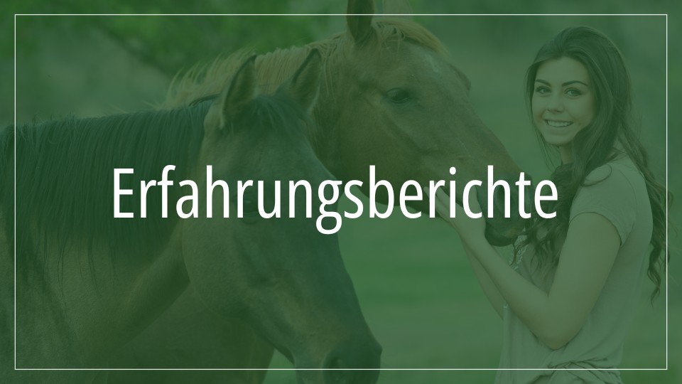 Erfahrungsberichte über Pferdegesundheit und Pflege Eine Frau steht neben zwei Pferden und streichelt eines davon, mit dem Text "Erfahrungsberichte" darüber.