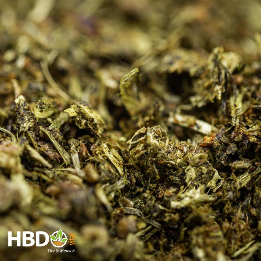 HBD’s® EquiDietic mit Traubenkernmehl - Futterstruktur Foto von HBD’s EquiDietic diätisches Breifutter mit Traubenkernmehl für Pferde - Eine Nahaufnahme des HBD’s EquiDietic mit Traubenkernmehl zeigt eine fasrige Struktur mit verschieden großen Bestandteilen. Die Farbe des Futters ist grün/braun.