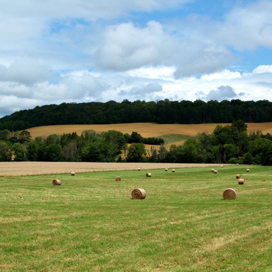 Pferdeweide mit Heuballen und im Hintergrund Berge mit Bäumen und landwirtschaftlichen Flächen.