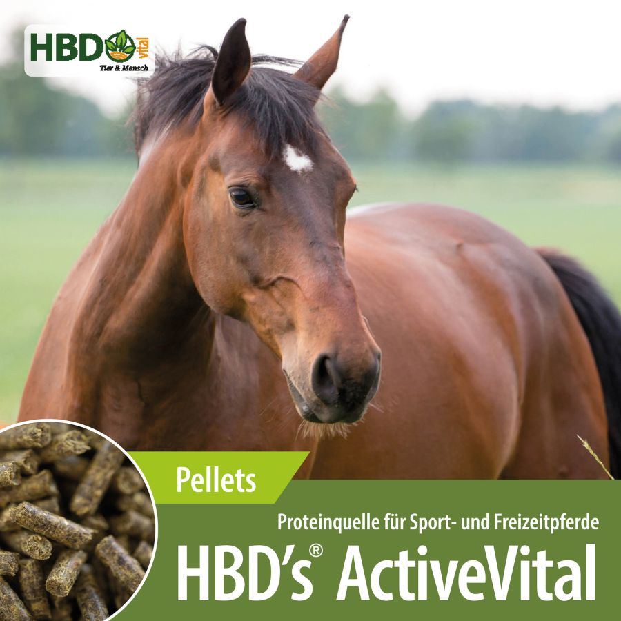 Shopbild von HBDs ActiveVital Kraftfutter. Ein braunes Pferd ist zu sehen, der Name des Produkts und ein kleines Bild der Futterstruktur.