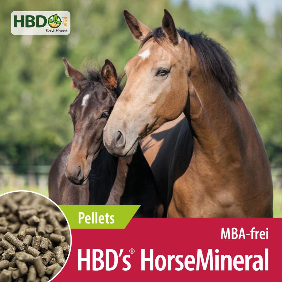 HBD’s® HorseMineral MBA-frei - Mineralfutter für Pferde Shopbild für HBD’s HorseMineral MBA-frei Pellets dem organisch gebundenen Mineralfutter für Pferde - Das Bild zeigt den Produktnamen sowie den Hinweis, dass es sich um Melasse-, Bierhefe- und Apfeltrester-freie Pellets handelt. Zwei Pferde sind zu sehen.